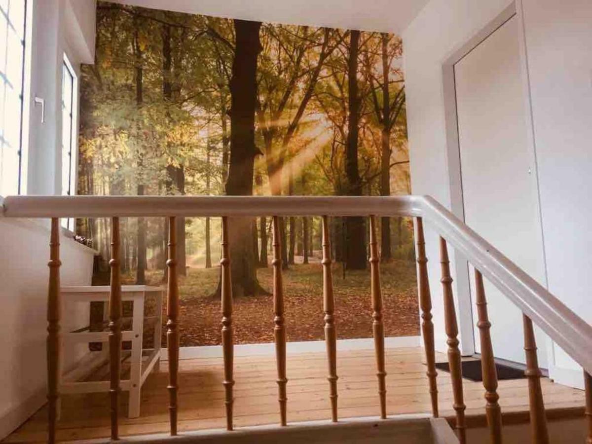 Fewo Waldblick Meschede Bagian luar foto